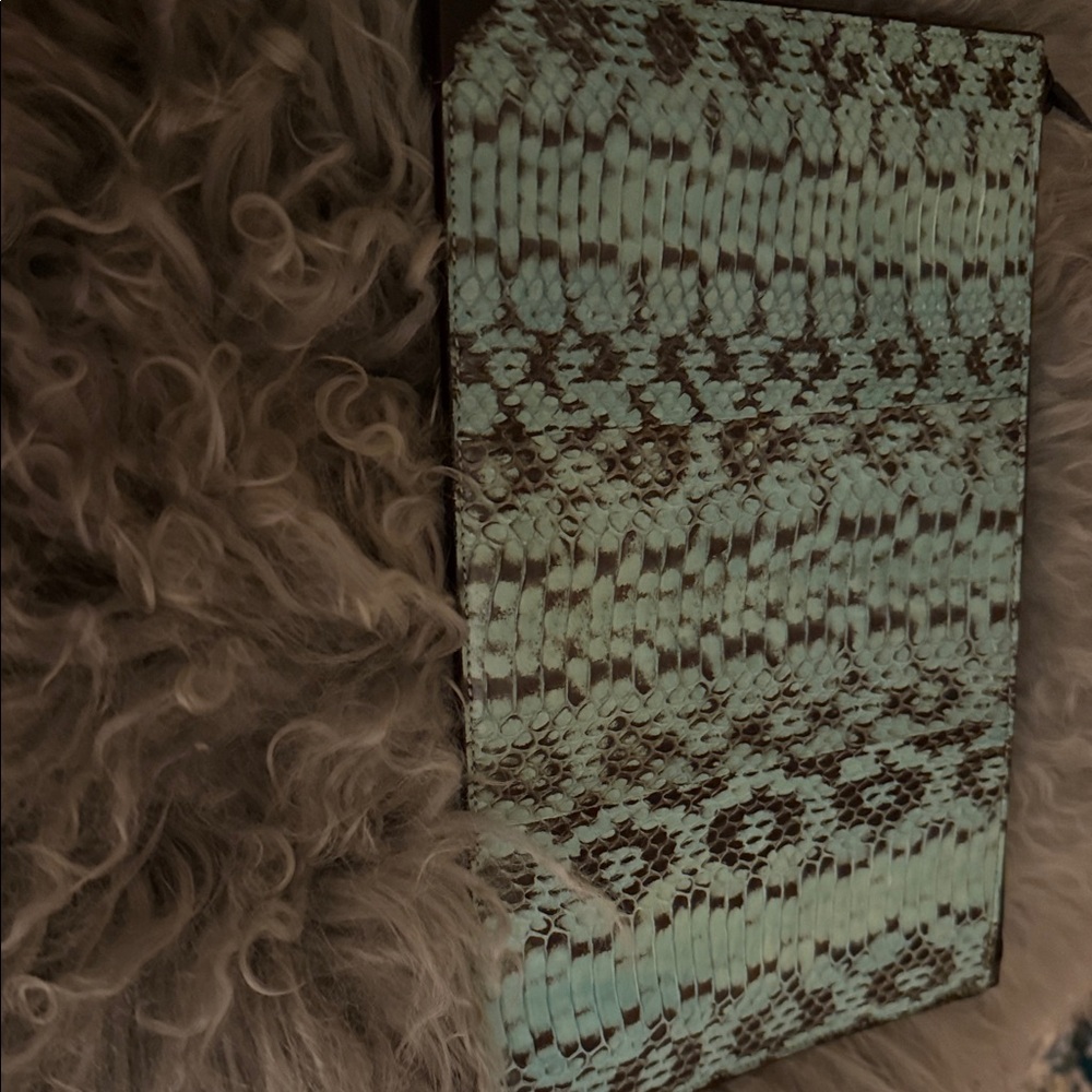 Alexander Wang Genuine Snakeskin Envelope Wallet in Mint